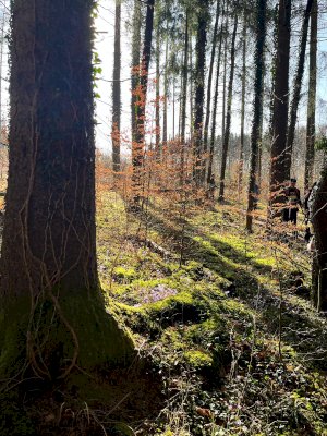 Mammutmarsch in München