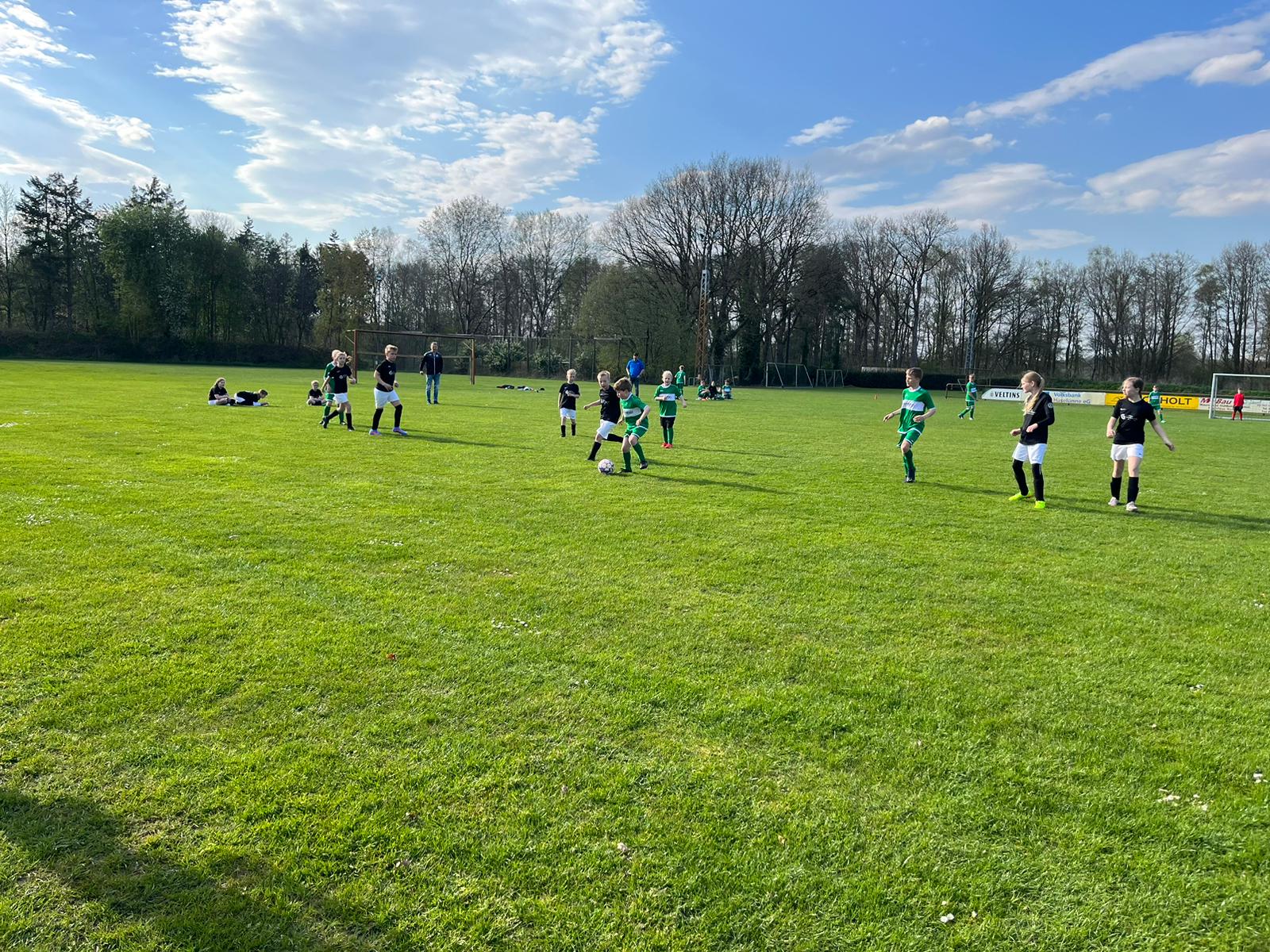 E2-Jugend verliert 3:10 bei der JSG Haselünne/Polle/Schleper II